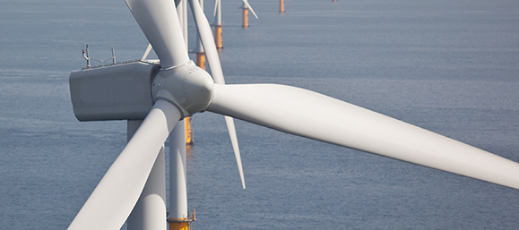 Learn more about Centre of Excellence